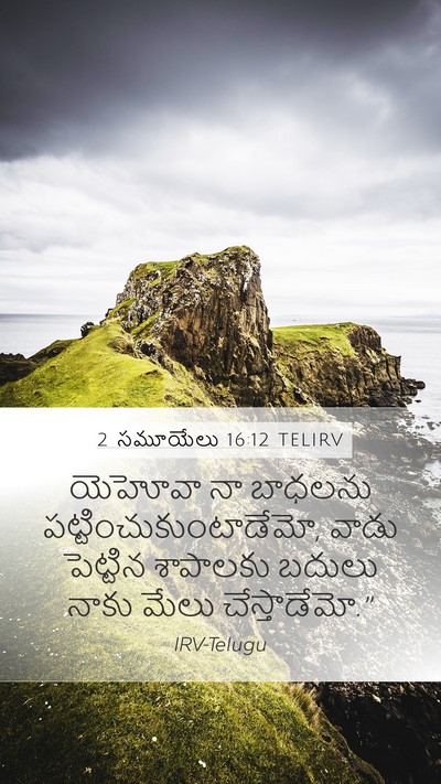 2 సమూయేలు 16:12 TELIRV Bible Verse Image