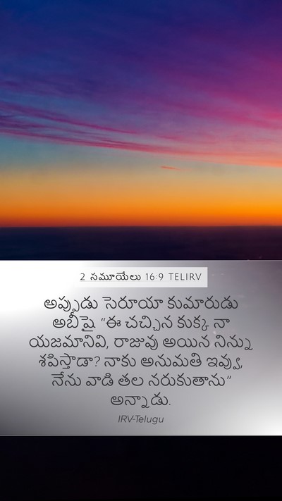 2 సమూయేలు 16:9 TELIRV Bible Verse Image