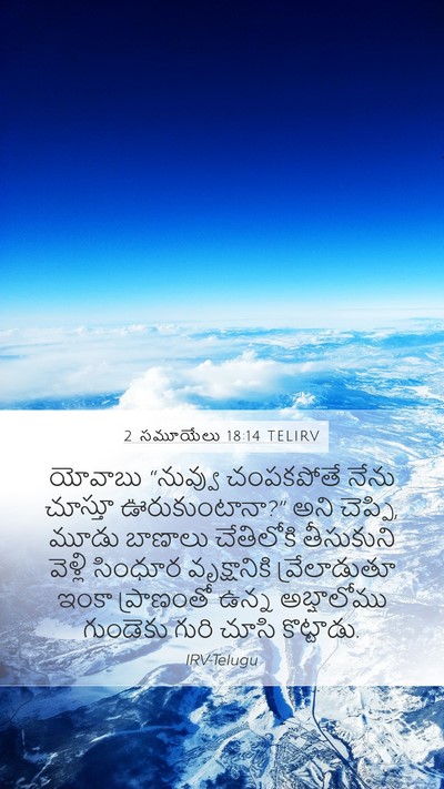 2 సమూయేలు 18:14 TELIRV Bible Verse Image