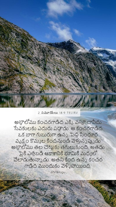 2 సమూయేలు 18:9 TELIRV Mobile Phone Wallpaper - అబ్షాలోము - Mobile Bible Verse Wallpaper