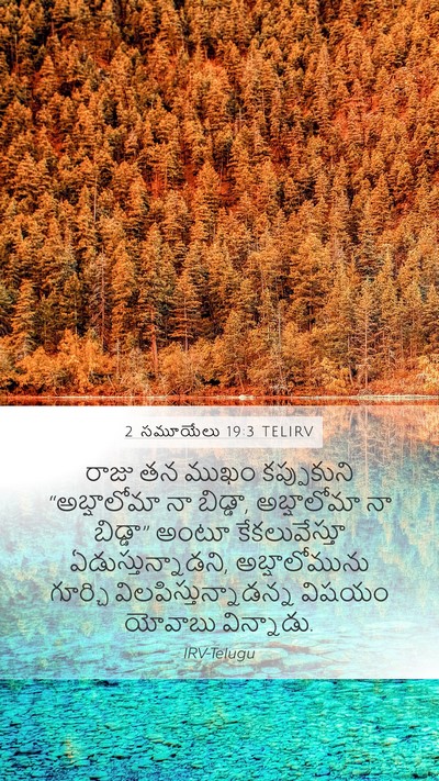 2 సమూయేలు 19:3 TELIRV Mobile Phone Wallpaper - రాజు తన ముఖం - Mobile Bible Verse Wallpaper
