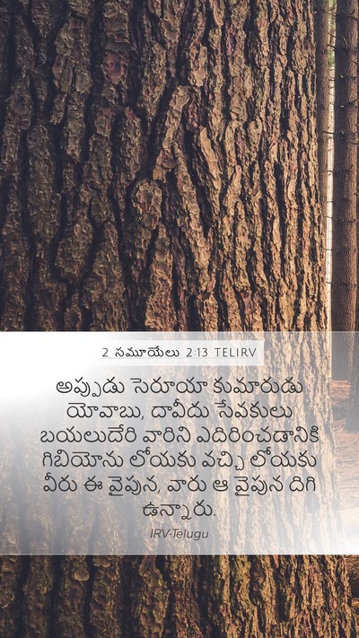 2 సమూయేలు 2:13 TELIRV Mobile Phone Wallpaper - అప్పుడు సెరూయా - Mobile Bible Verse Wallpaper