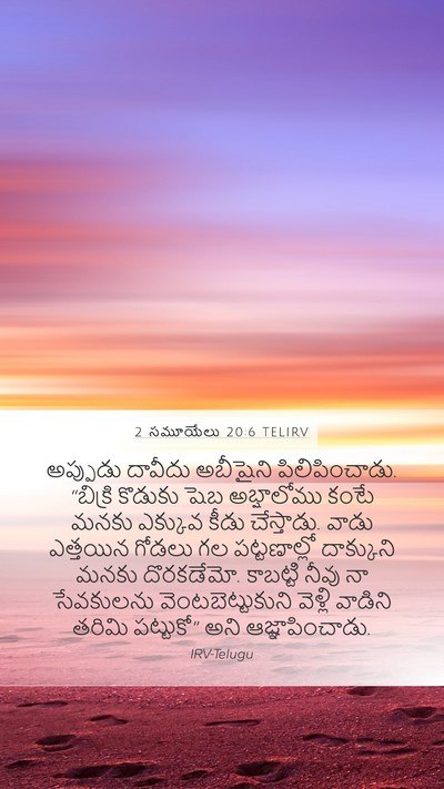 2 సమూయేలు 20:6 TELIRV Bible Verse Image