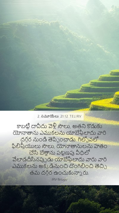 2 సమూయేలు 21:12 TELIRV Bible Verse Image