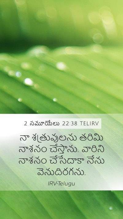 2 సమూయేలు 22:38 TELIRV Mobile Phone Wallpaper - నా శత్రువులను - Mobile Bible Verse Wallpaper