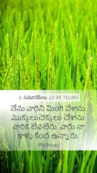 2 సమూయేలు 22:39 TELIRV Bible Verse Image