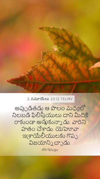 2 సమూయేలు 23:12 TELIRV Mobile Phone Wallpaper - అప్పుడితడు ఆ పొలం - Mobile Bible Verse Wallpaper