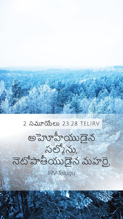 2 సమూయేలు 23:28 TELIRV Bible Verse Image