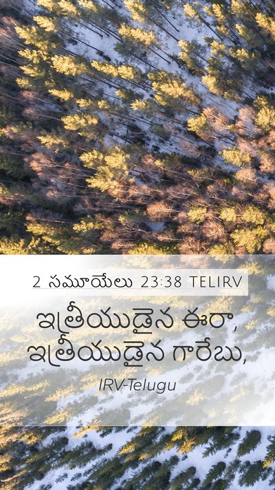 2 సమూయేలు 23:38 TELIRV Bible Verse Image