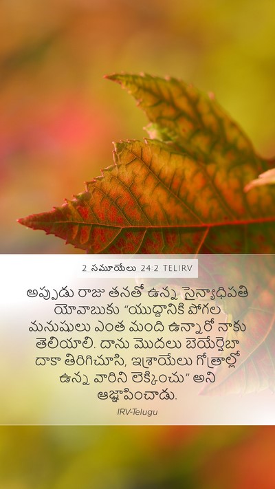 2 సమూయేలు 24:2 TELIRV Bible Verse Image