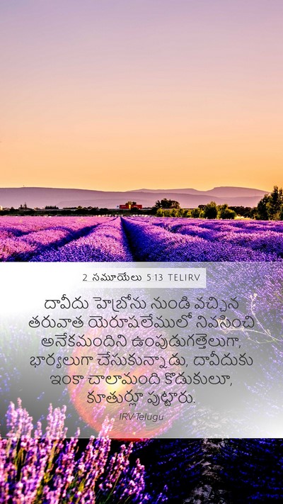 2 సమూయేలు 5:13 TELIRV Bible Verse Image