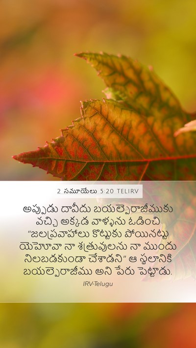 2 సమూయేలు 5:20 TELIRV Bible Verse Image