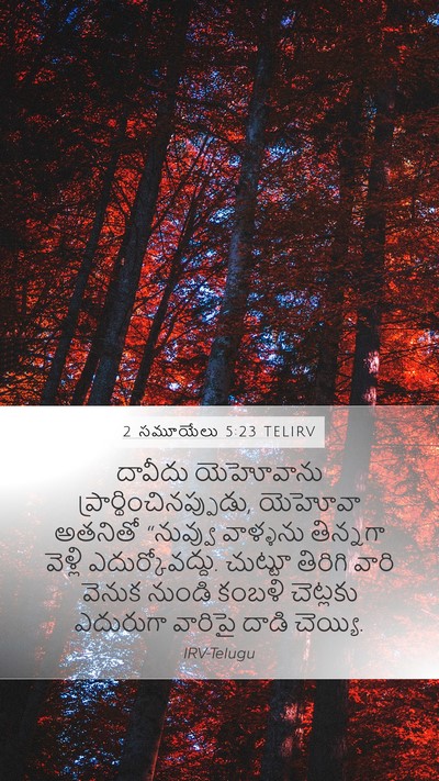 2 సమూయేలు 5:23 TELIRV Bible Verse Image