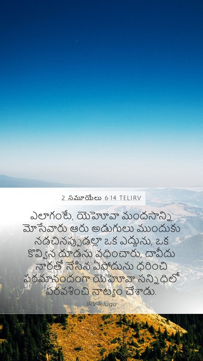 2 సమూయేలు 6:14 TELIRV Bible Verse Image