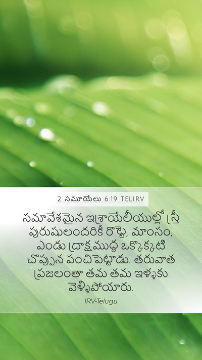 2 సమూయేలు 6:19 TELIRV Bible Verse Image