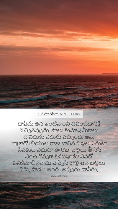 2 సమూయేలు 6:20 TELIRV Bible Verse Image