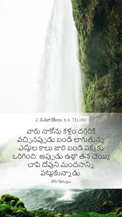 2 సమూయేలు 6:6 TELIRV Bible Verse Image