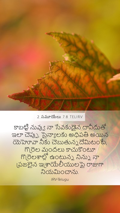 2 సమూయేలు 7:8 TELIRV Bible Verse Image