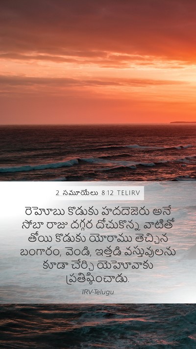2 సమూయేలు 8:12 TELIRV Bible Verse Image