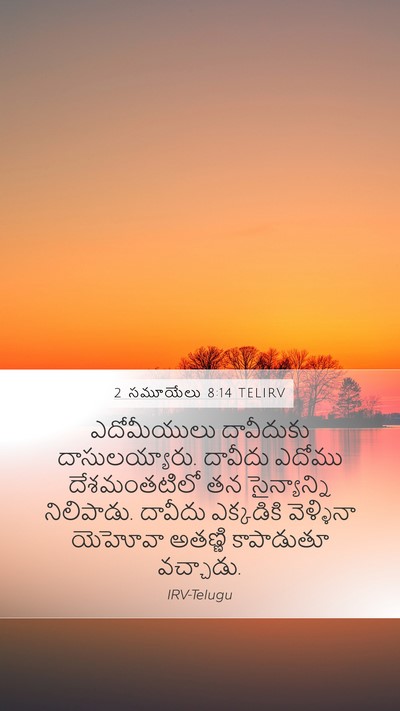 2 సమూయేలు 8:14 TELIRV Bible Verse Image