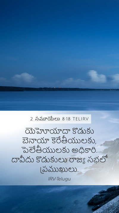 2 సమూయేలు 8:18 TELIRV Bible Verse Image