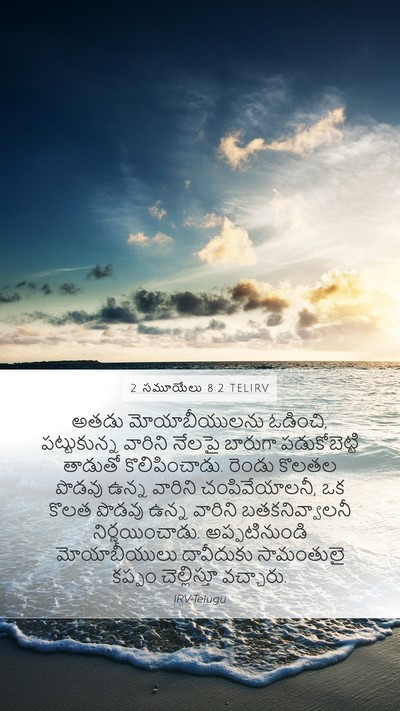 2 సమూయేలు 8:2 TELIRV Bible Verse Image