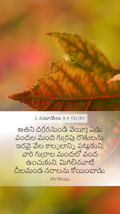 2 సమూయేలు 8:4 TELIRV Bible Verse Image