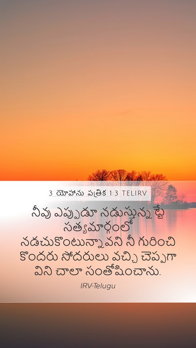 3 యోహాను పత్రిక 1:3 TELIRV Bible Verse Image