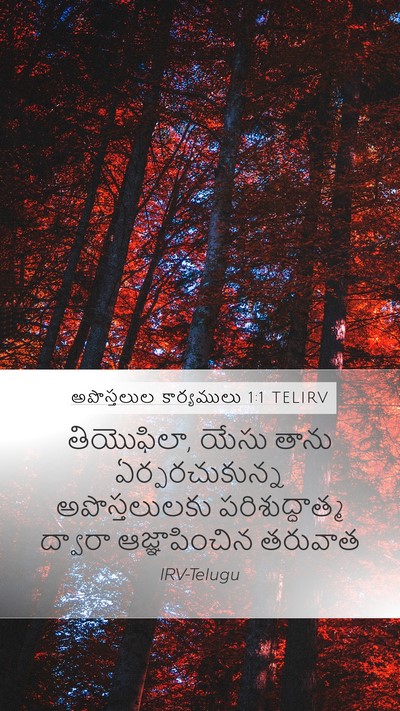 అపొస్తలుల కార్యములు 1:1 TELIRV Bible Verse Image