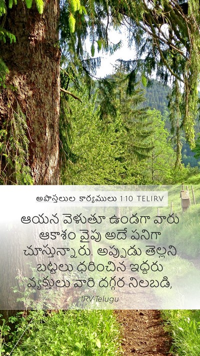 అపొస్తలుల కార్యములు 1:10 TELIRV Bible Verse Image