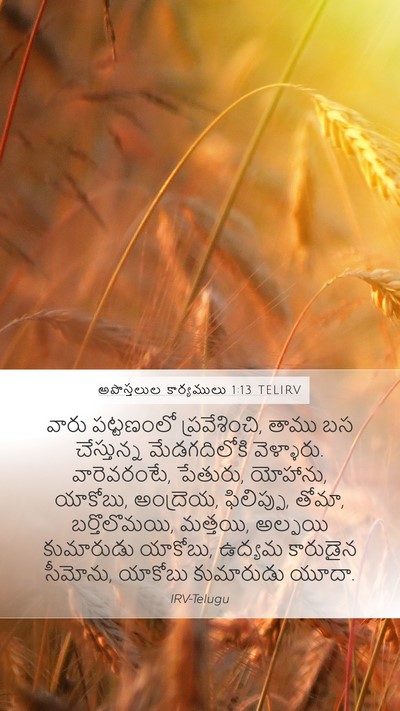 అపొస్తలుల కార్యములు 1:13 TELIRV Bible Verse Image