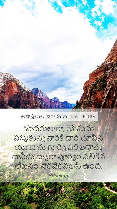 అపొస్తలుల కార్యములు 1:16 TELIRV Bible Verse Image