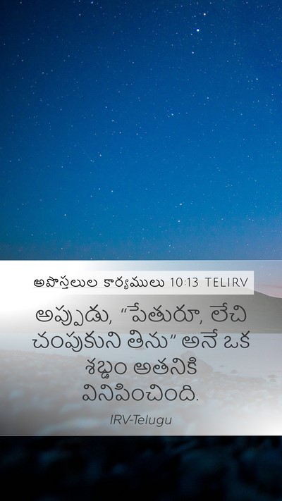 అపొస్తలుల కార్యములు 10:13 TELIRV Bible Verse Image