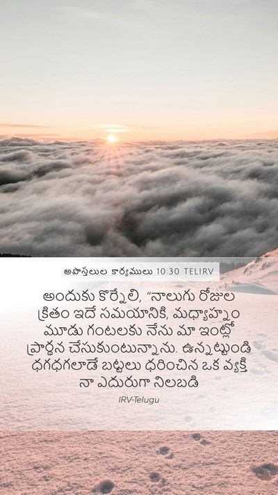 అపొస్తలుల కార్యములు 10:30 TELIRV Bible Verse Image