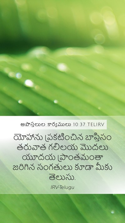 అపొస్తలుల కార్యములు 10:37 TELIRV Bible Verse Image