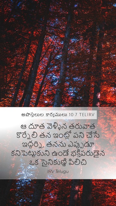 అపొస్తలుల కార్యములు 10:7 TELIRV Bible Verse Image