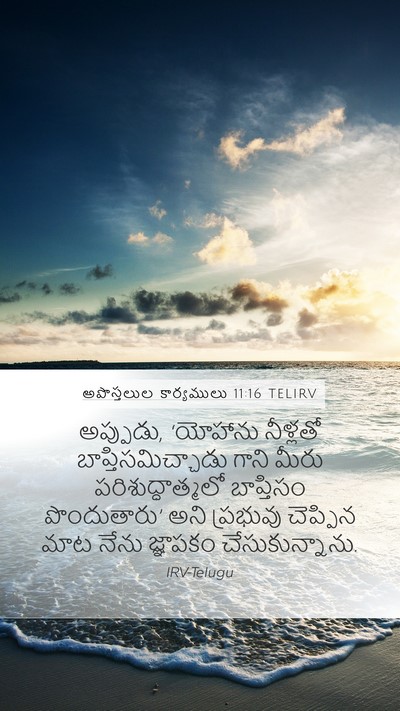 అపొస్తలుల కార్యములు 11:16 TELIRV Bible Verse Image