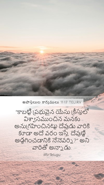 అపొస్తలుల కార్యములు 11:17 TELIRV Bible Verse Image