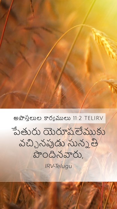 అపొస్తలుల కార్యములు 11:2 TELIRV Bible Verse Image