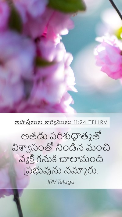 అపొస్తలుల కార్యములు 11:24 TELIRV Bible Verse Image