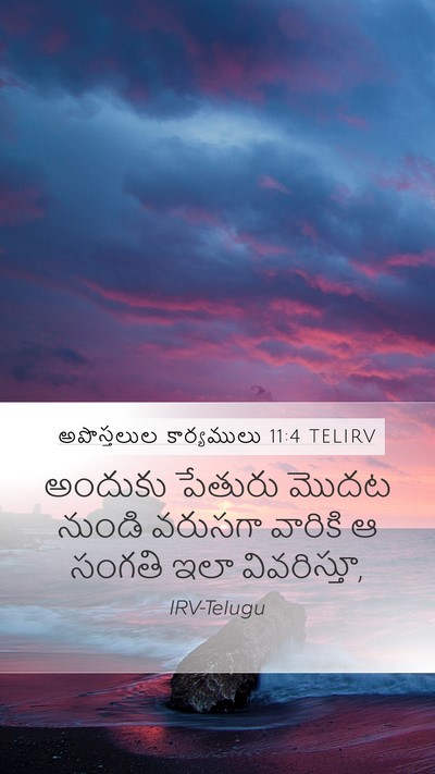 అపొస్తలుల కార్యములు 11:4 TELIRV Bible Verse Image