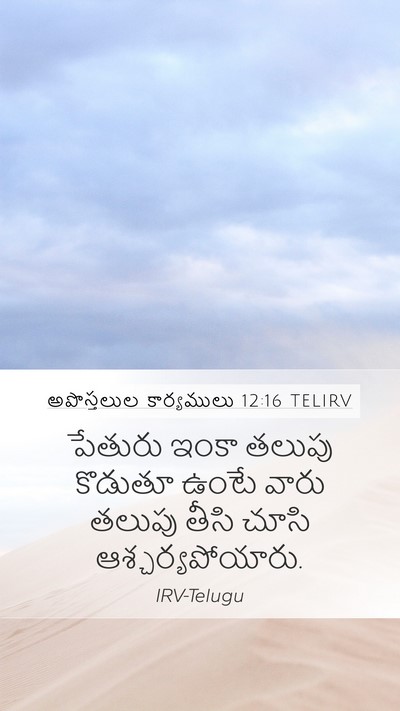 అపొస్తలుల కార్యములు 12:16 TELIRV Bible Verse Image