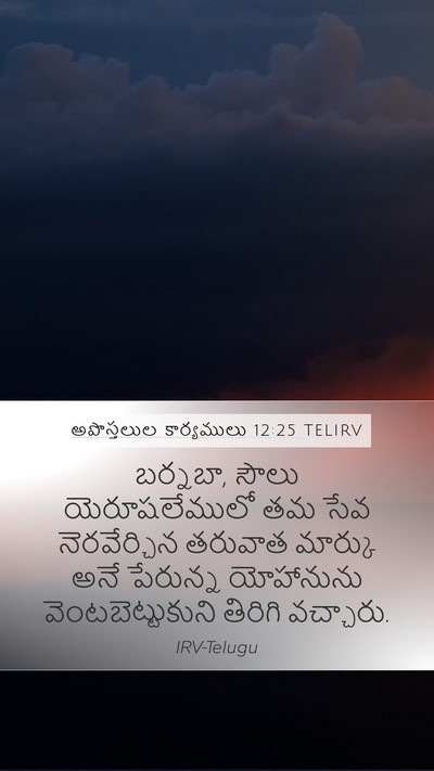 అపొస్తలుల కార్యములు 12:25 TELIRV Bible Verse Image