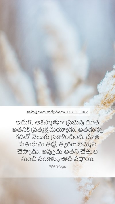 అపొస్తలుల కార్యములు 12:7 TELIRV Bible Verse Image