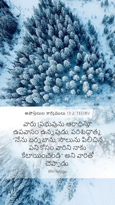 అపొస్తలుల కార్యములు 13:2 TELIRV Bible Verse Image