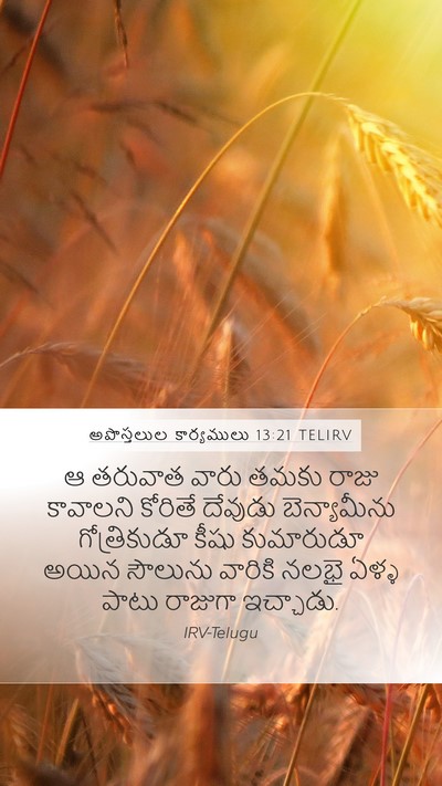 అపొస్తలుల కార్యములు 13:21 TELIRV Bible Verse Image