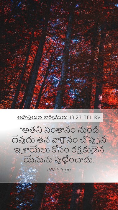 అపొస్తలుల కార్యములు 13:23 TELIRV Bible Verse Image