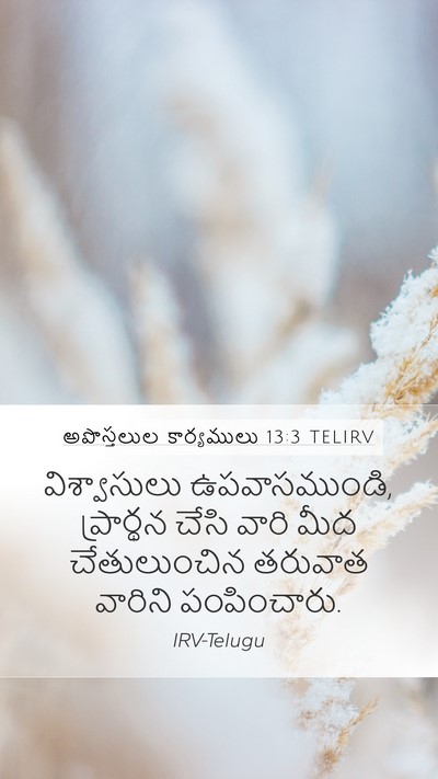అపొస్తలుల కార్యములు 13:3 TELIRV Bible Verse Image