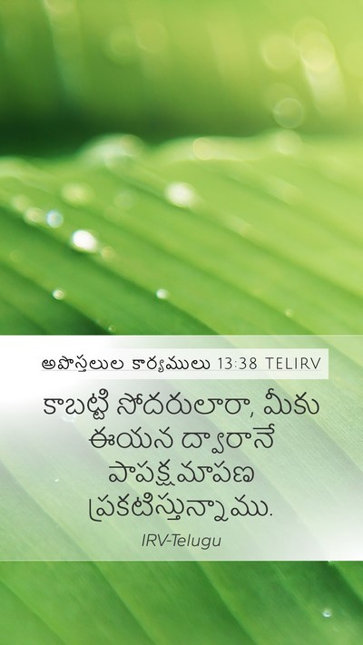 అపొస్తలుల కార్యములు 13:38 TELIRV Bible Verse Image