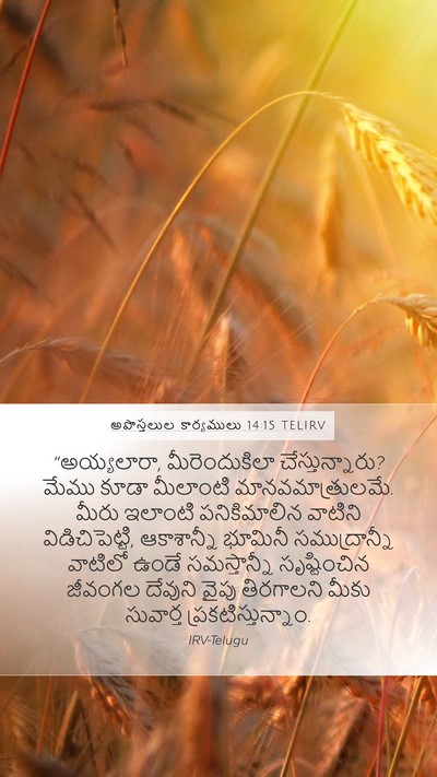 అపొస్తలుల కార్యములు 14:15 TELIRV Bible Verse Image
